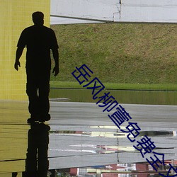 嶽風柳萱免費全文閱讀