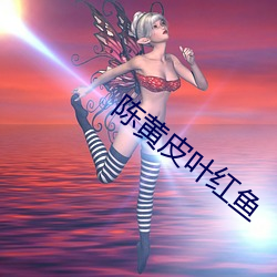 陈黄皮叶红鱼 （极端）
