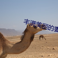 丰(fēng)满美丽的妻子受辱HD无字