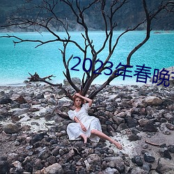 2023年(年)春晚(晚)节目单完(完)整版