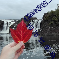 《高岭家的二轮花掉未增删动樱花第》国语在线播放