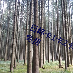 日(rì)韩卡(kǎ)1卡2卡三卡2021开启24小时免费