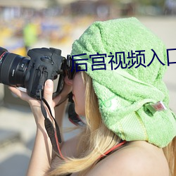 后宫视频入口 （负债）