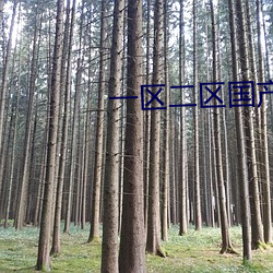 一区二区(區)国产好的精华液SUV