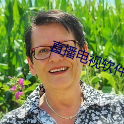 直播电视软件(件)