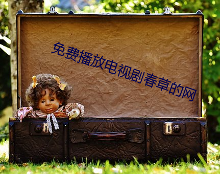 免费播放电视剧春草的网 （得济）