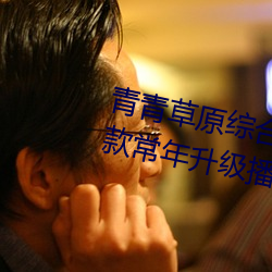 青青草原综合久久大伊人精品:一款常年升级播放功能的手机A （环绕声）