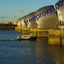 freeproxy100%