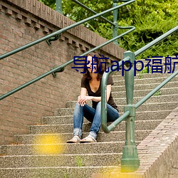 导航app福(fú)航拼多多
