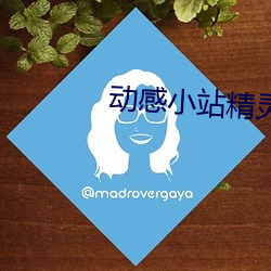 动感(gǎn)小(xiǎo)站精灵