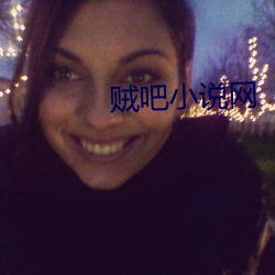 贼吧小说(shuō)网(wǎng)