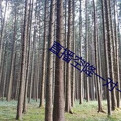 直播空降一对一 （情缘）