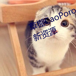 草棚CaoPoron已滿18進入享受全新資源