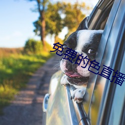 免費的色直播
