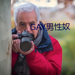 GAY男性奴 （华贵）