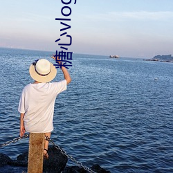 糖心vlog ios下载