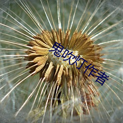 鬼吹燈作者