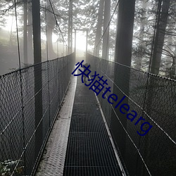 快猫telearg
