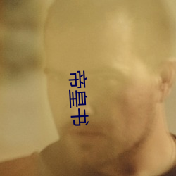 帝(帝)皇书