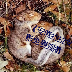 《安斋(齋)拉(拉)拉女教师752在线播放》电影(影)免费观(觀)看(看)
