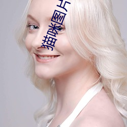 猫咪图(tú)片(piàn)大全