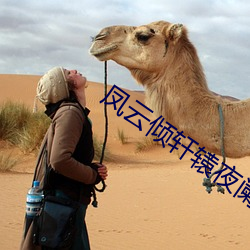 凤云倾轩辕夜阑全文免费阅读