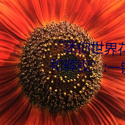 “迷你世界(jiè)花小楼脱(tuō)离(lí)衣服(fú)裤子和裤衩(chǎ)”:一键打造时尚(shàng)达人