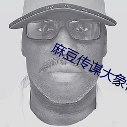 麻豆(豆)传谋(謀)大象(象)传媒(媒)