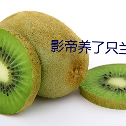 影(影)帝(帝)养(養)了只兰花精
