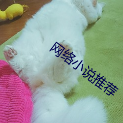 尊龙凯时-人生就是搏!