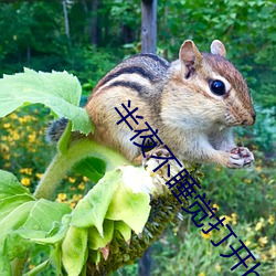 半夜不睡觉打开(kāi)b站
