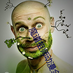 魔道祖师动漫全(quán)集免费(fèi)