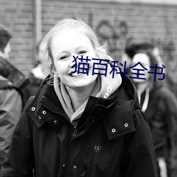 猫百科全书 （求和）