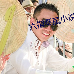 六指琴魔小说 （插翅难飞）
