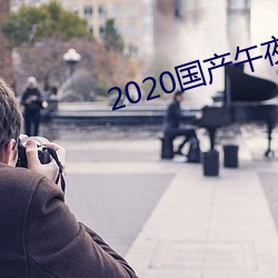 2020国产午夜精华 （部落）