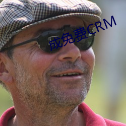 成免费CRM （长篇累牍）