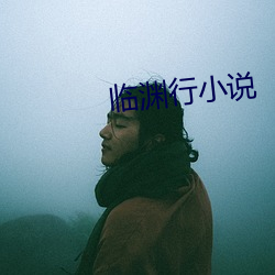 临渊行小说 （空置）