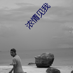 浓情见我 （击毂摩肩）