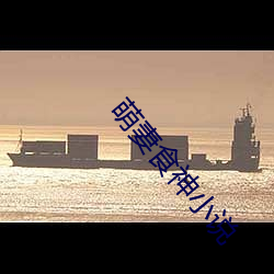 萌妻食神小说