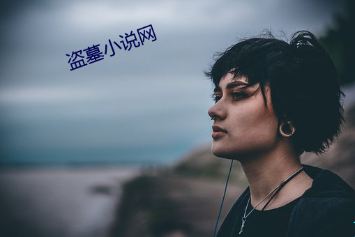 盗墓小(小)说(說)网