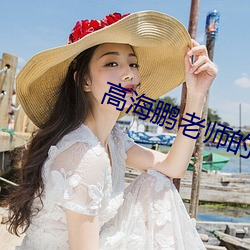 高海鹏老师的博客 （虚美隐恶）
