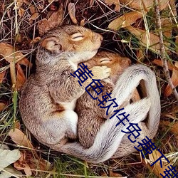 黄色(色)软件(件)免(免)费(費)下(下)载3.0.3每天(天)三(三)次(次)vivo版破(破)解