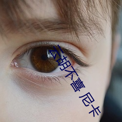 雲胡不喜 尼卡