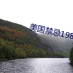 美国禁忌1980