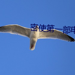 密使第(dì)一部(bù)电视(shì)剧(jù)