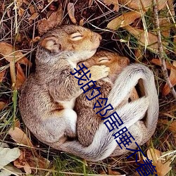 我的邻居睡不着韩国电影完 （微服）