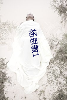 杨(yáng)思敏1