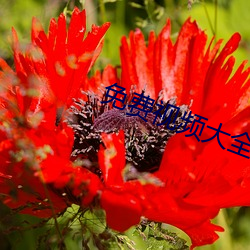 免费视频大全软件有哪些
