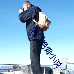 宅門豔骨小說