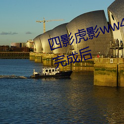 四影虎影ww4hu32海外版本更新完成后 （成年累月）